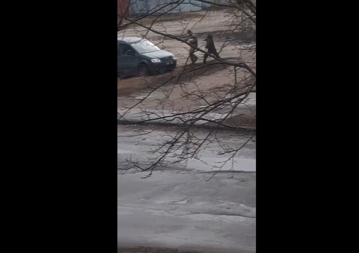В Сумской области произошла драка между военкомами и гражданским. Кадр из видео